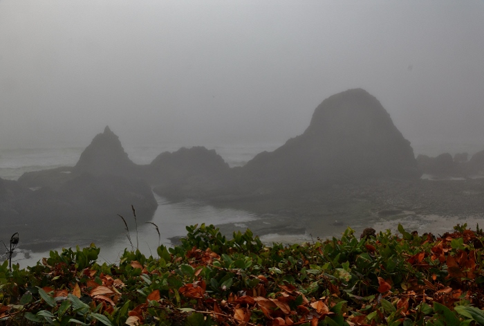 Seal Rock in the fog